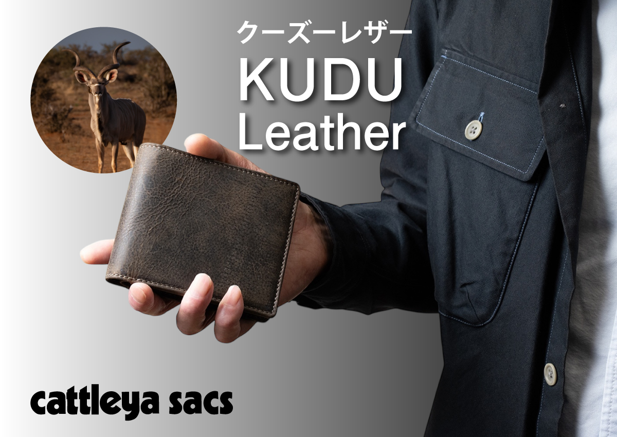 cattleya sacs(カトレアサックス)折財布 BOX型小銭入れBP2143画像1