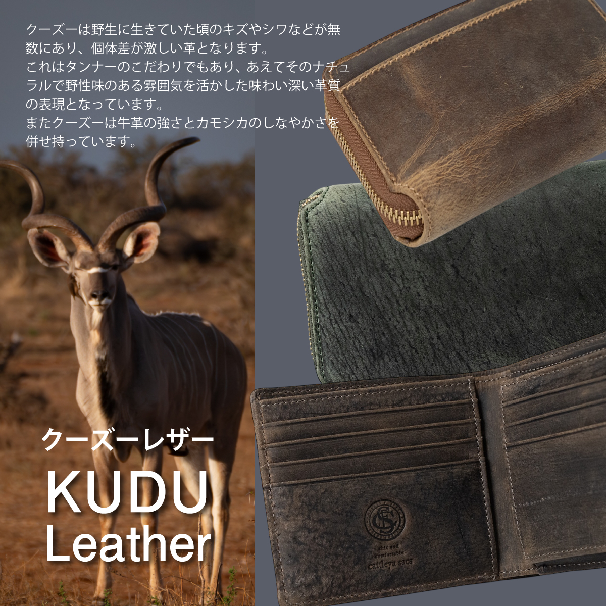 cattleya sacs(カトレアサックス)折財布 BOX型小銭入れBP2143画像12