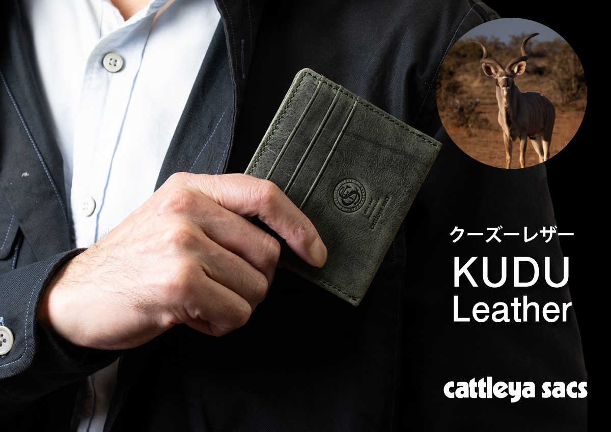 cattleya sacs(カトレアサックス)ミニ財布 半札 小銭入れ カードケース　BP2147画像1