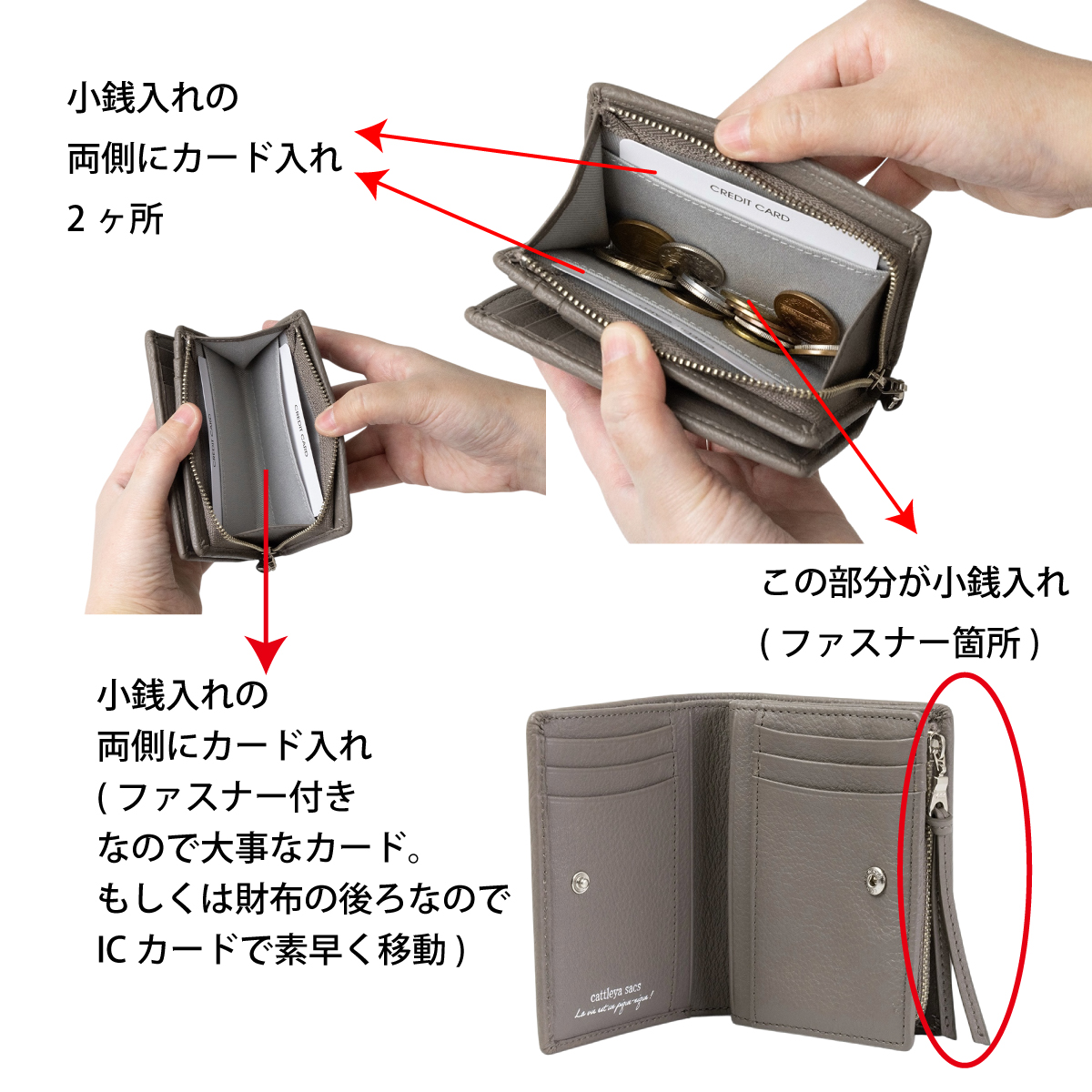 cattleya sacs(カトレアサックス) コンパクト財布 IN2533画像7