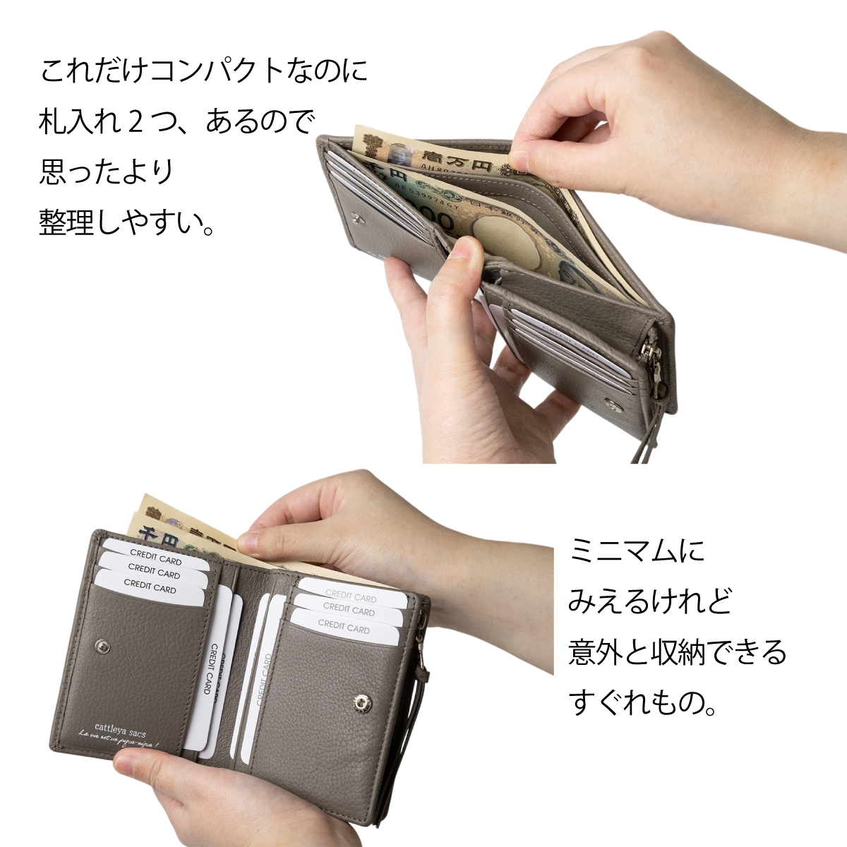 cattleya sacs(カトレアサックス) コンパクト財布 IN2533画像8