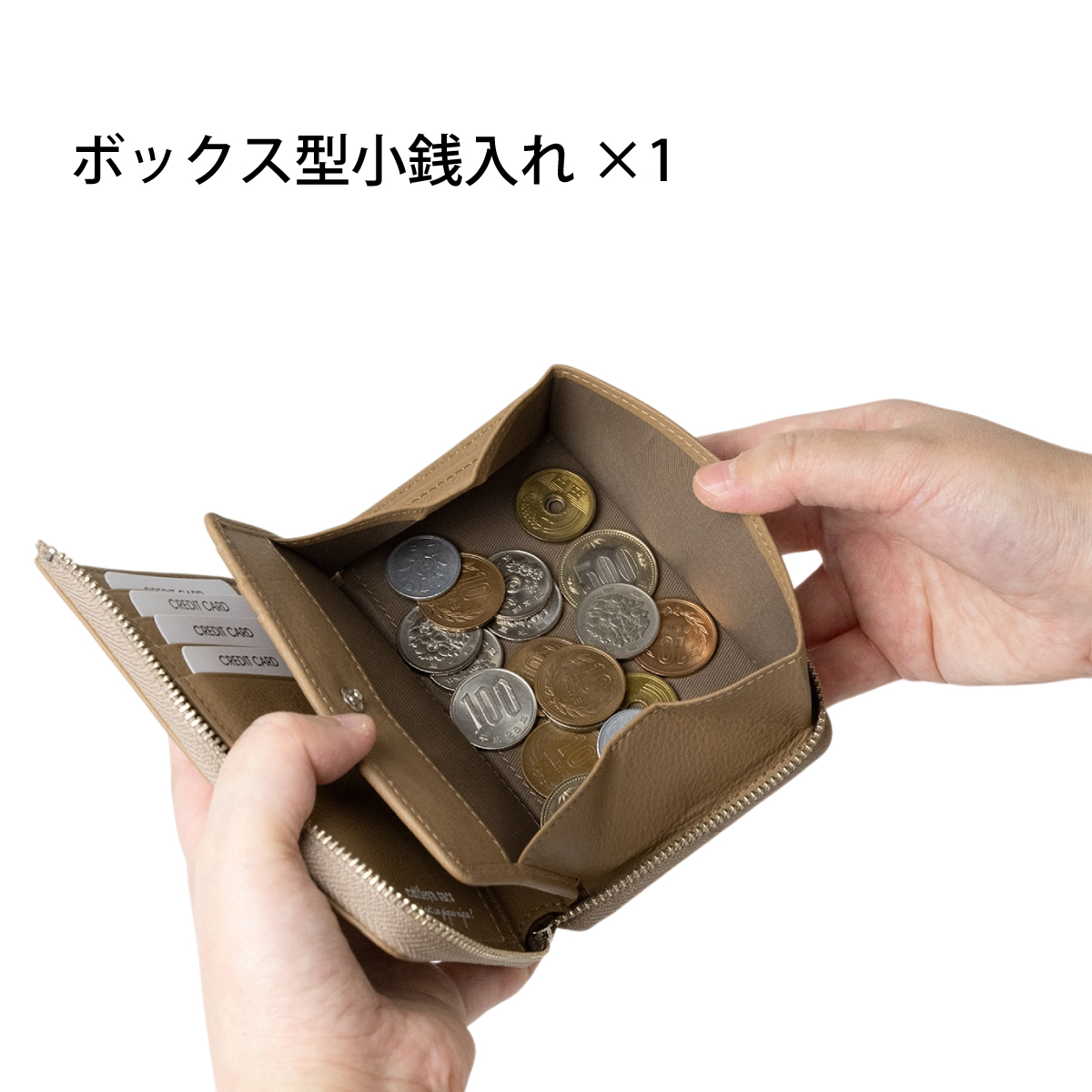 cattleya sacs（カトレアサックス）｜ミドル財布 IN2532画像7