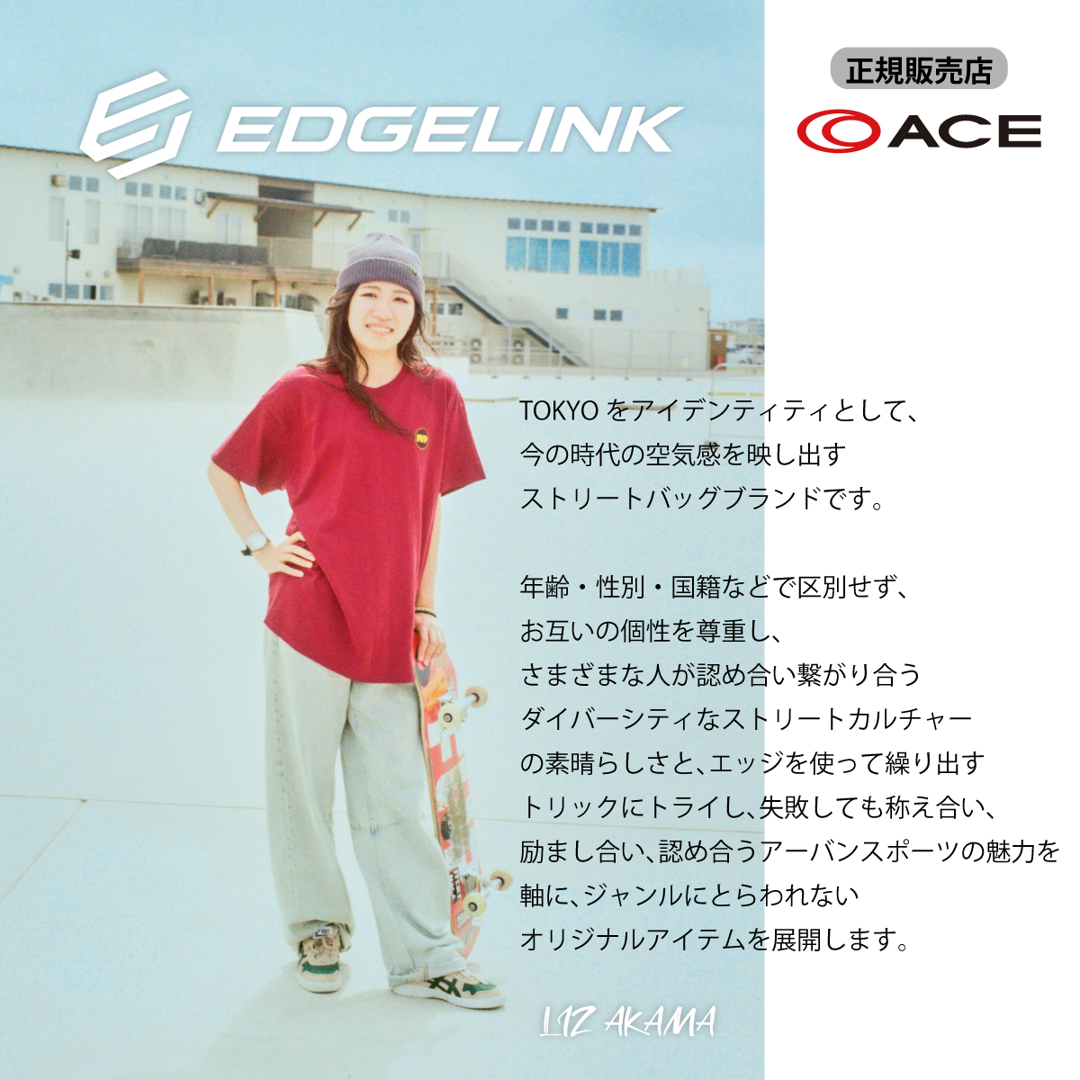 ACE EDGELINK／エッジリンク CRUZBOX  05805画像12