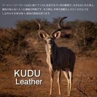 cattleya sacs(カトレアサックス)長財布 ラウンドファスナーBP2141画像4