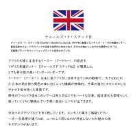 cattleya sacs(カトレアサックス)長財布 ラウンドファスナーBP2141画像5