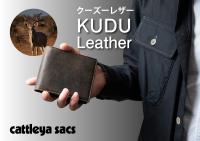 cattleya sacs(カトレアサックス)折財布 BOX型小銭入れBP2143画像1