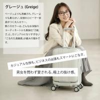 Asia Luggage デカかるEdge2ALI-078-18FW画像10